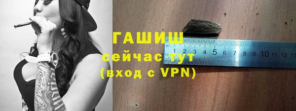 apvp Иннополис