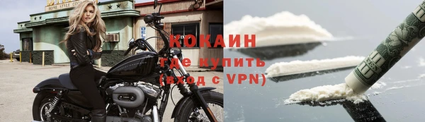 apvp Иннополис