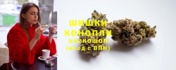 apvp Иннополис