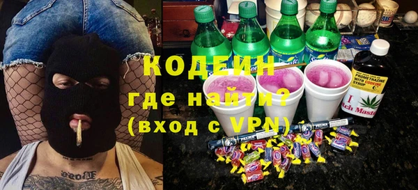 apvp Иннополис