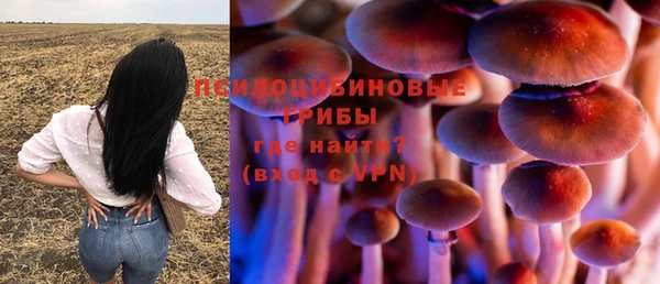мяу мяу мука Инсар