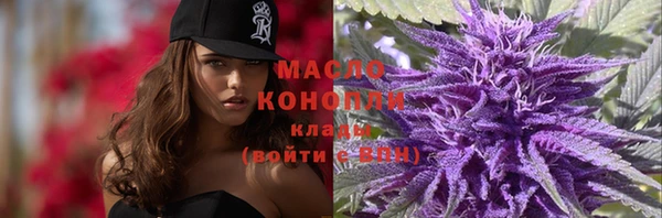apvp Иннополис