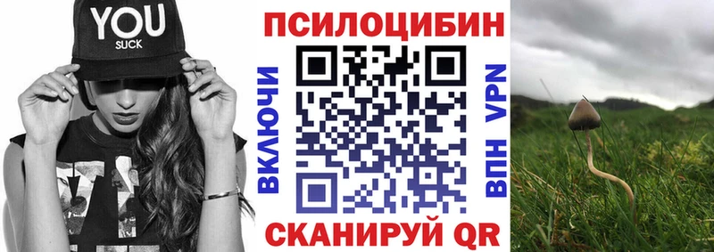 кракен   где найти наркотики  Невинномысск  Псилоцибиновые грибы Magic Shrooms 